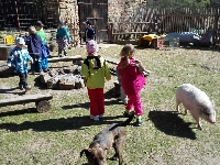 15_male_zoo_ms_05