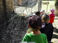 15_male_zoo_ms_07