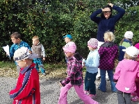 15_valstov_ms_2