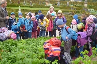 16_pekar_a_kuks_11