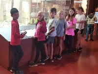 Obr�zek 22_muzeum_hk_12