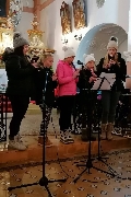 Obr�zek 22_van_koncert_05