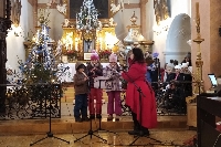 Obr�zek 22_van_koncert_17