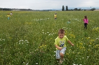15_prazd_ms_18