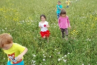 15_prazd_ms_20