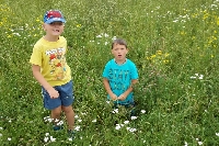 15_prazd_ms_21