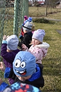 17_kot_venku_ms_02