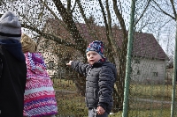 17_kot_venku_ms_06