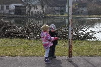 17_kot_venku_ms_15