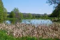17_den_zeme_67