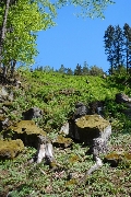 17_den_zeme_70