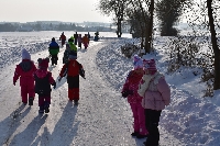 17_krmalec_ms_22