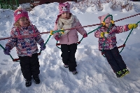 17_krmalec_ms_26