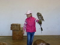 15_den_zem_1-st_04