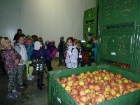 15_den_zem_1-st_11
