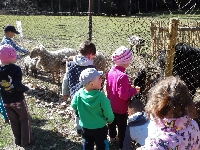 15_prasatka_ms_03