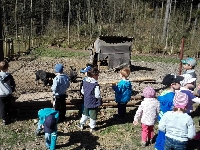 15_prasatka_ms_04