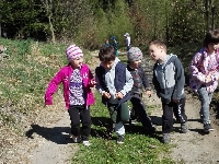15_prasatka_ms_06