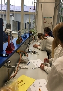 Obr�zek 21_labor_dk_04