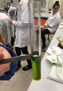 Obr�zek 21_labor_dk_07