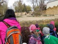 16_zoo_ms_04