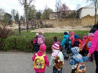 16_zoo_ms_05