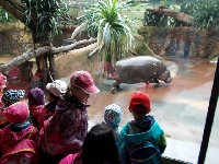 16_zoo_ms_06