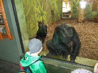 16_zoo_ms_07