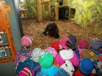16_zoo_ms_08