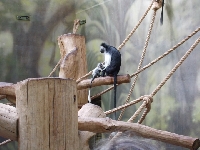 16_zoo_ms_09