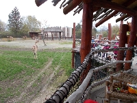 16_zoo_ms_10