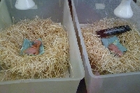 16_zoo_ms_13