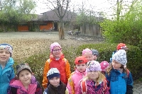16_zoo_ms_15
