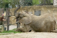 16_zoo_ms_17
