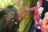 16_zoo_ms_18
