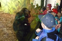 16_zoo_ms_19