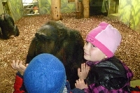 16_zoo_ms_20