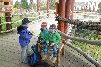16_zoo_ms_21
