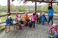 16_zoo_ms_23