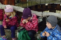 16_zoo_ms_25