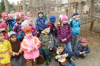 16_zoo_ms_27