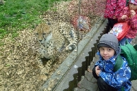 16_zoo_ms_28