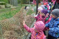 16_zoo_ms_29