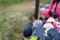 16_zoo_ms_30