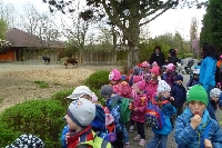 16_zoo_ms_32