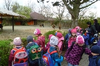 16_zoo_ms_33