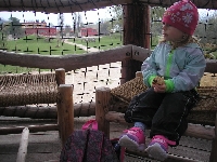 16_zoo_ms_35