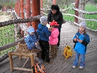16_zoo_ms_37
