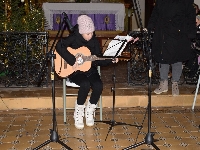 Obr�zek 23_van_koncert_09