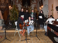 Obr�zek 23_van_koncert_13